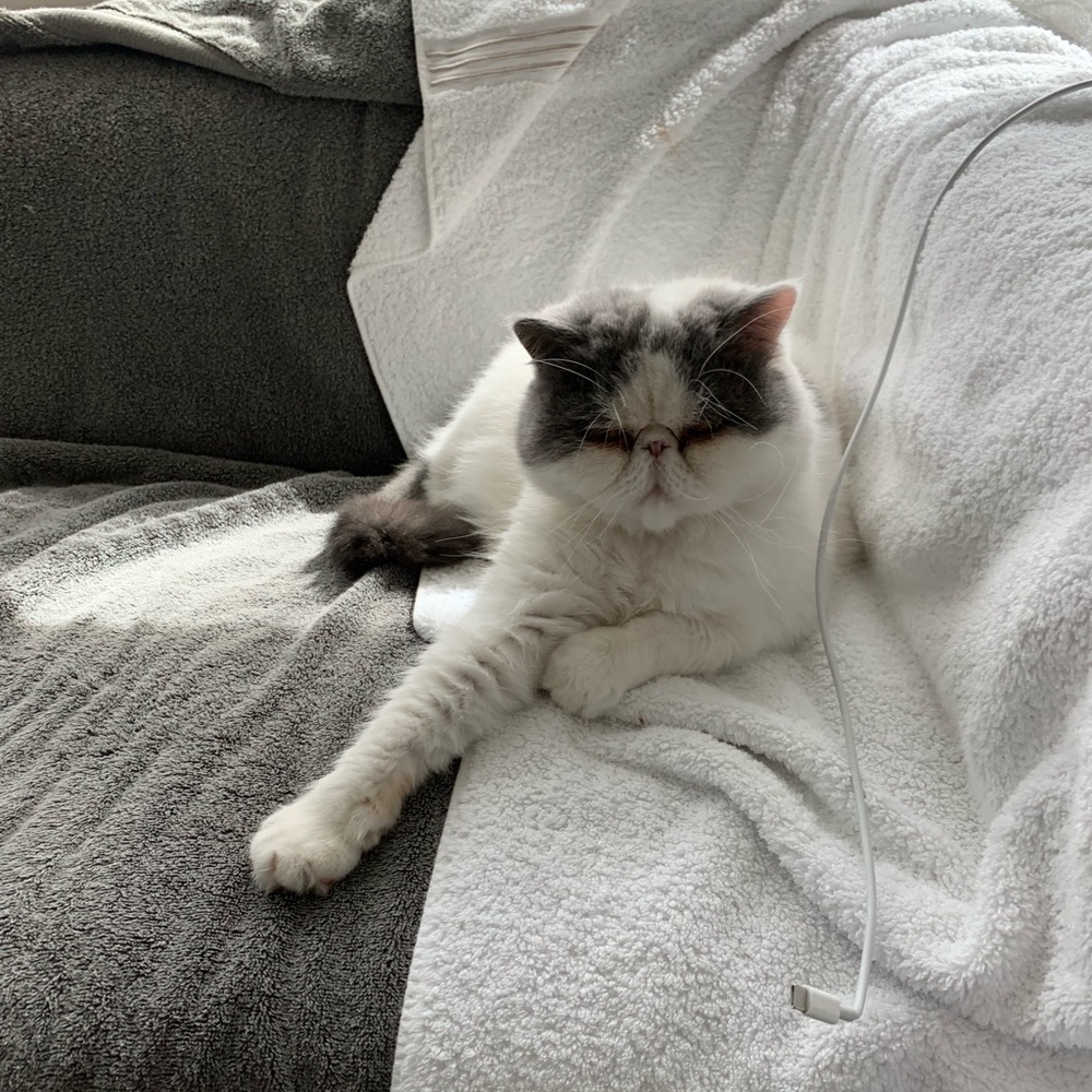 Meet your Posher, Xinyi